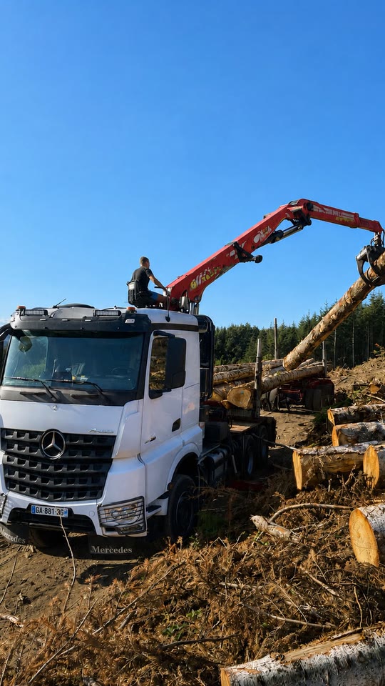 La grue du camion charge une grume