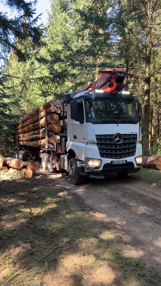 Le grumier chargé, sur une piste en forêt